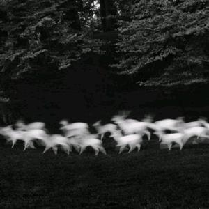 好吊操区美巨乳
